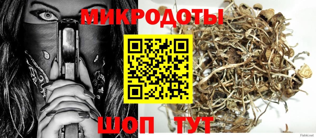 Псилоцибиновые грибы Cubensis Воткинск